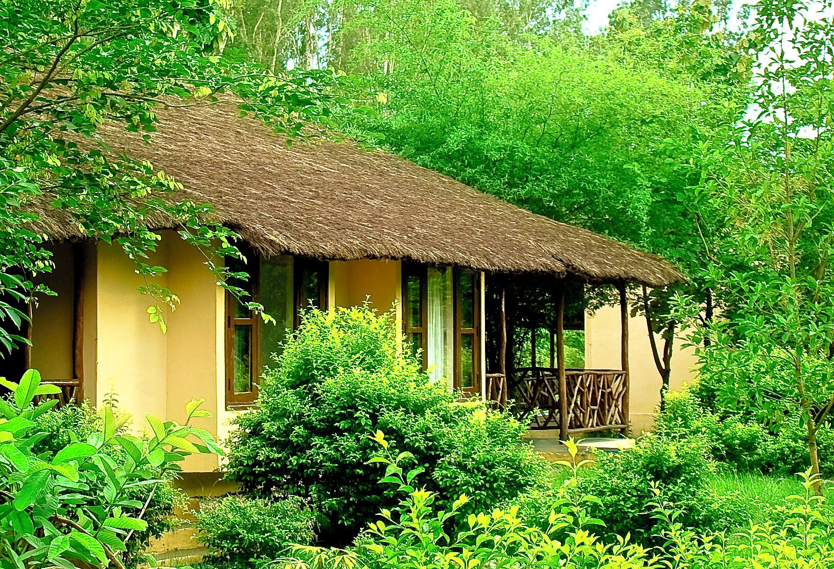 A single-story building with a thatched roof, surrounded by dense greenery.