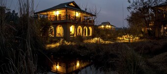 Jim's Jungle Retreat