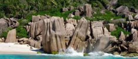 Plage à proximité, plongée sous-marine