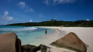 Perto da praia, prática de mergulho autônomo