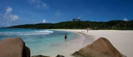 Beach nearby, scuba diving