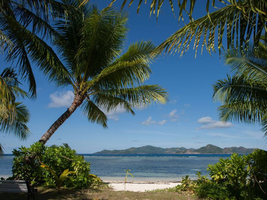 Una playa con palmeras, un banco y vistas al océano y montañas lejanas.