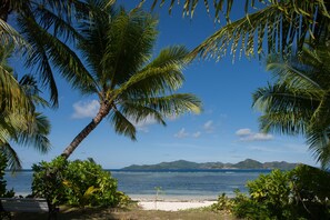 Una playa cerca, buceo