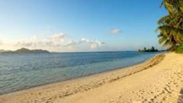 A beach with clear blue water, sandy shore, and palm trees.