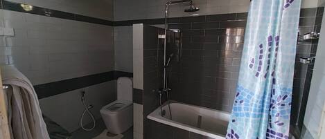 Une salle de bain avec douche, toilettes et baignoire.