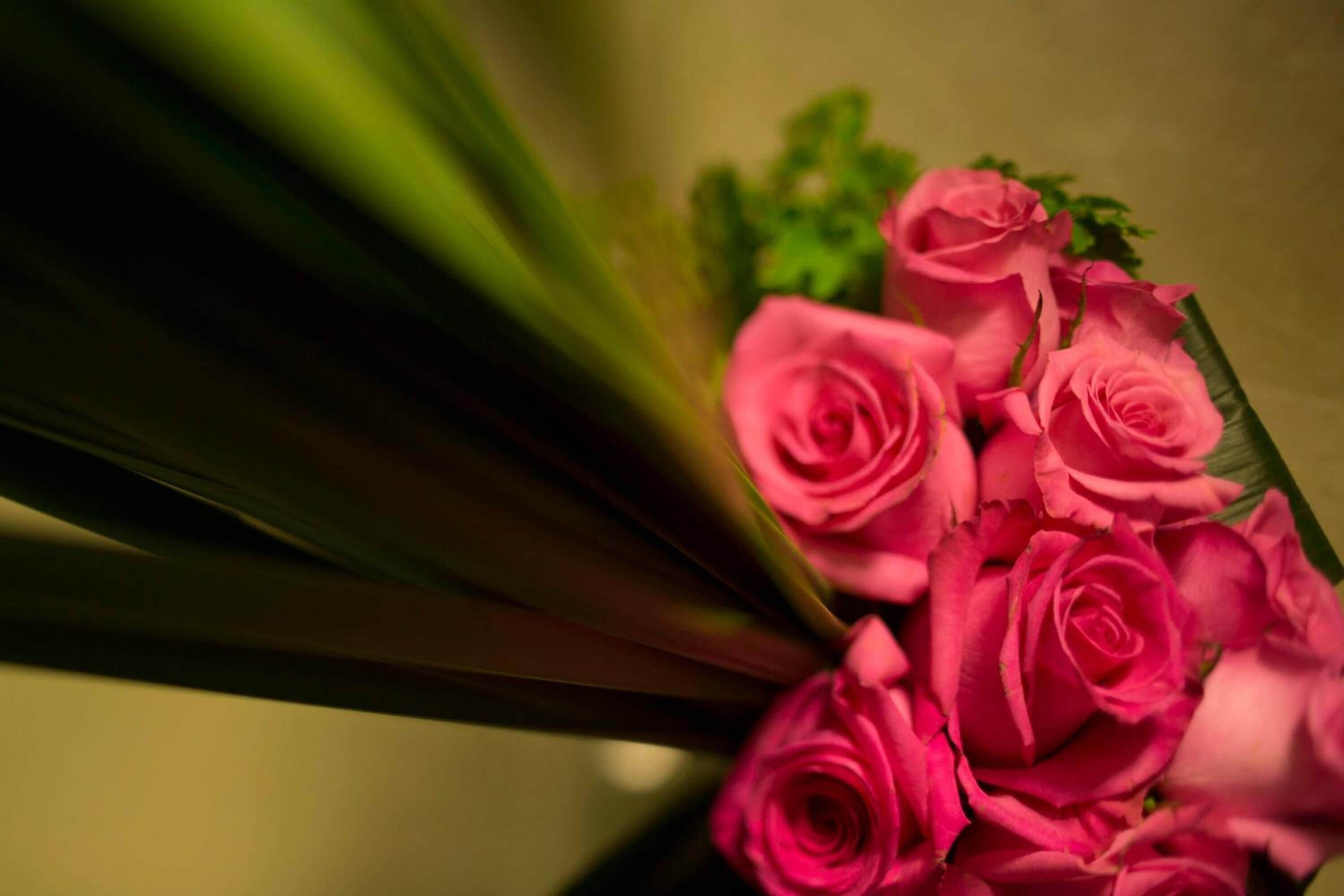 Foto - iclub To Kwa Wan Hotel