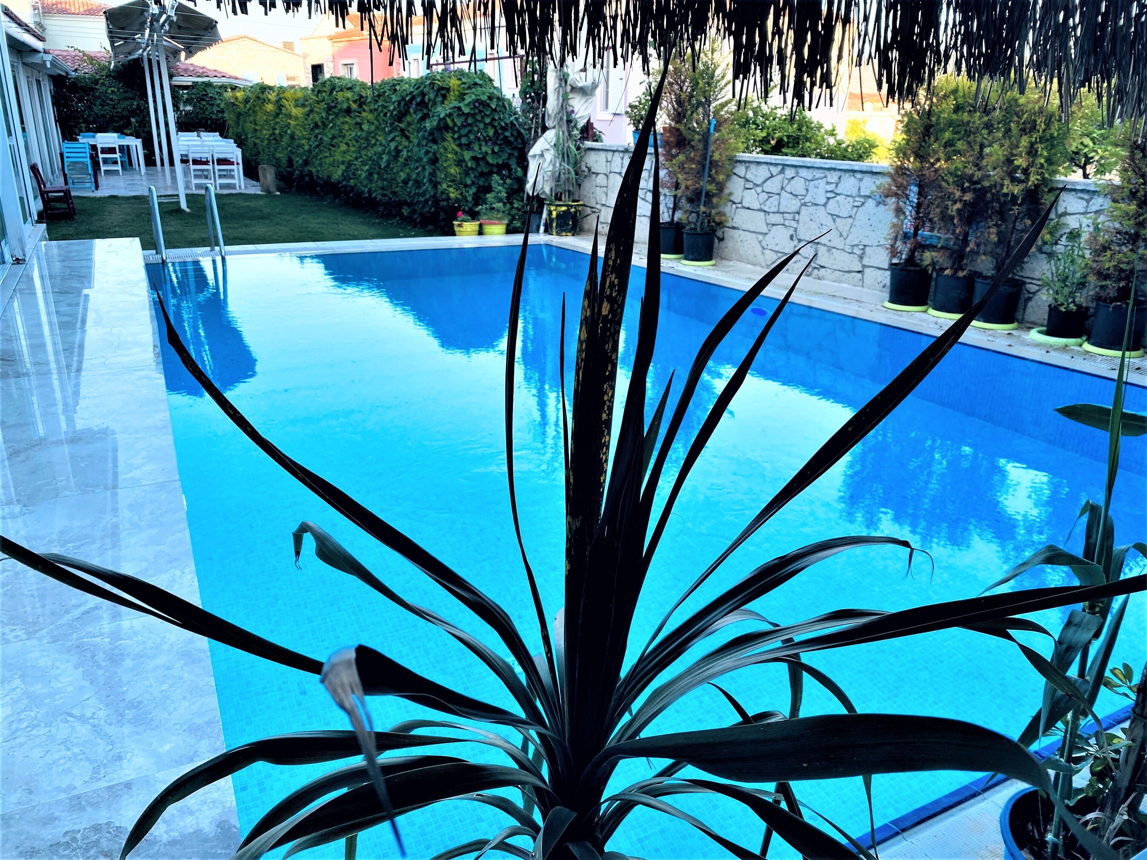 Outdoor pool, pool umbrellas, sun loungers