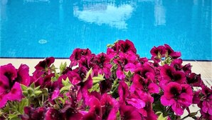 Una piscina con techo de paja y plantas en macetas alrededor.