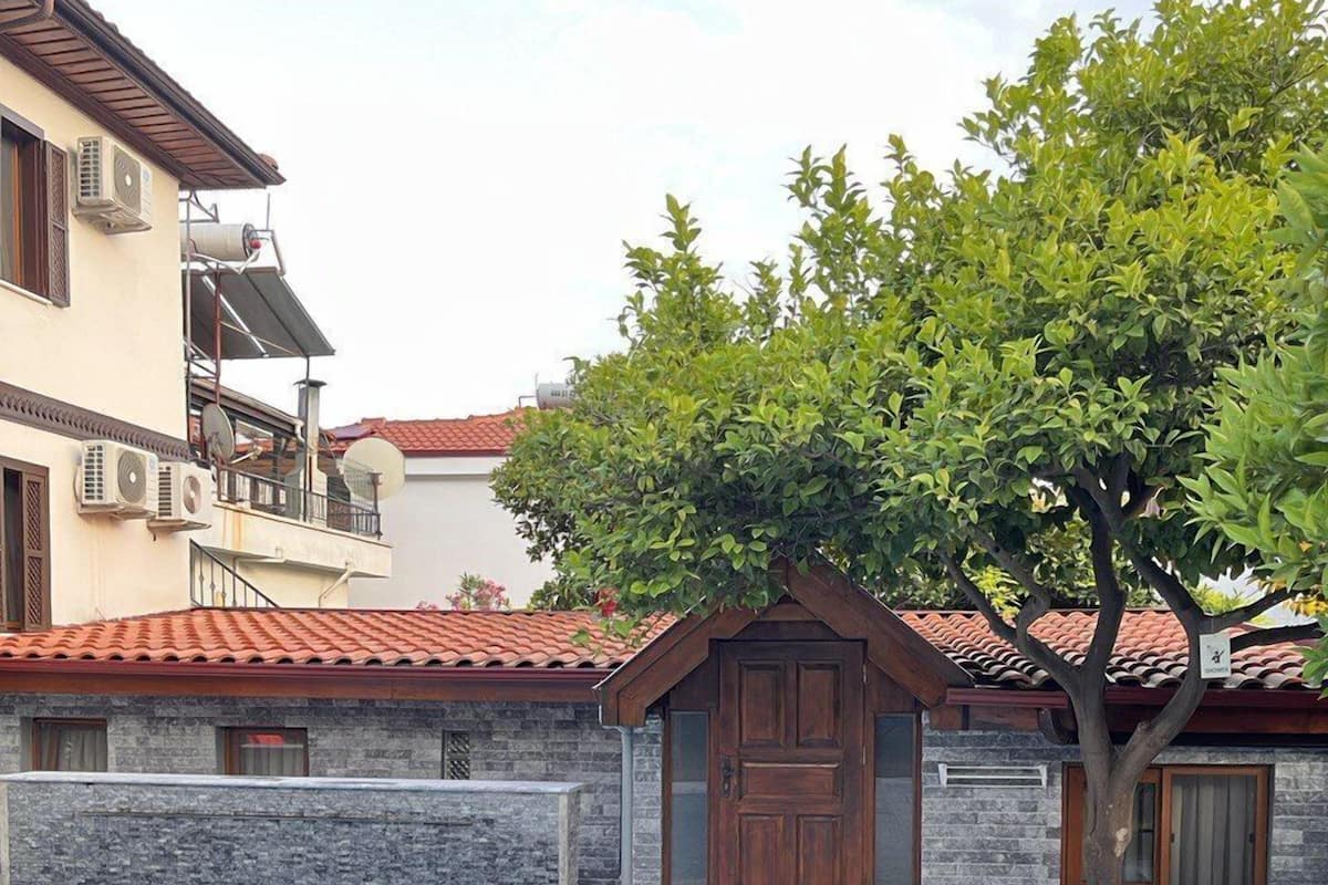A swimming pool with a stone deck, a wooden door, and a tree in the background.