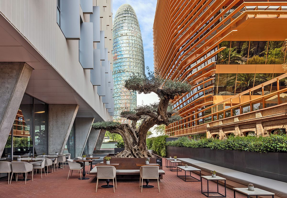 Un espacio al aire libre con mesas y sillas, rodeado de edificios modernos y un árbol grande.