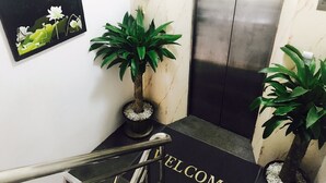 Una escalera con felpudo, plantas en macetas y un muro de mármol.