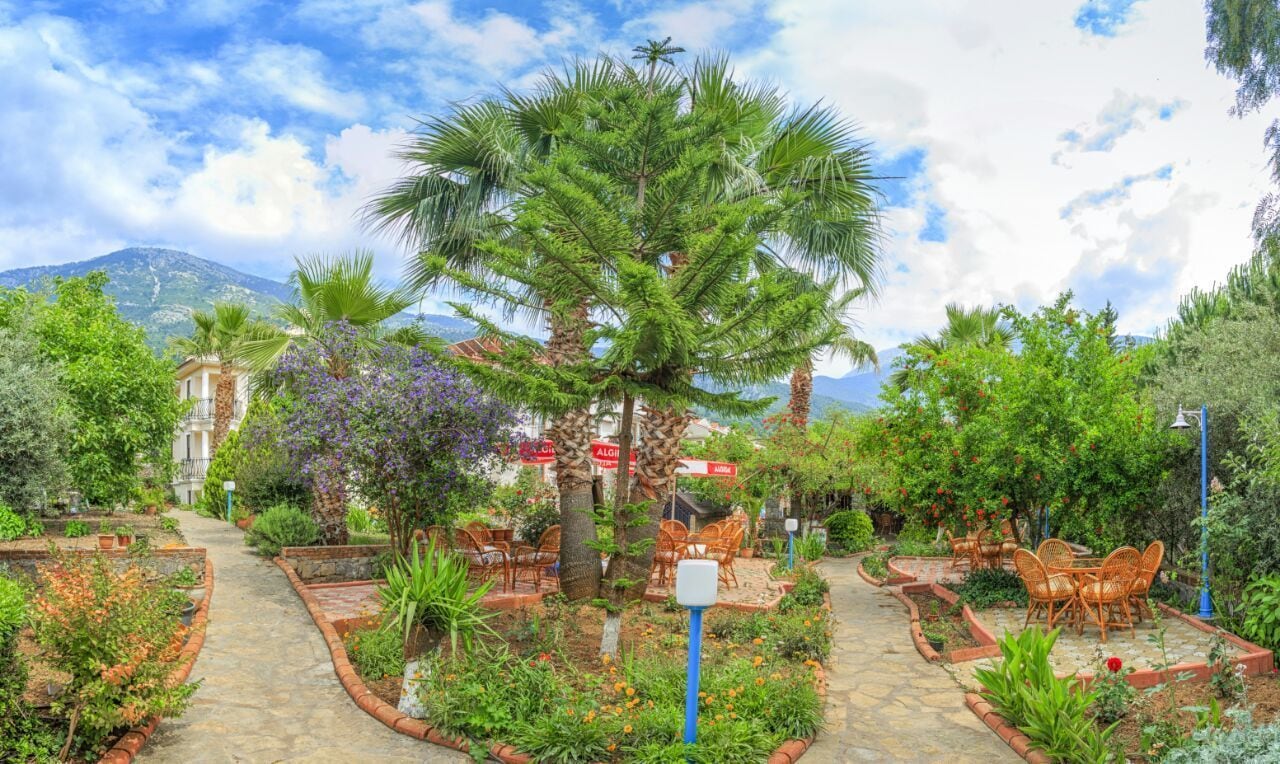 Ein Garten mit einer Palme, Stühlen und einem Weg.