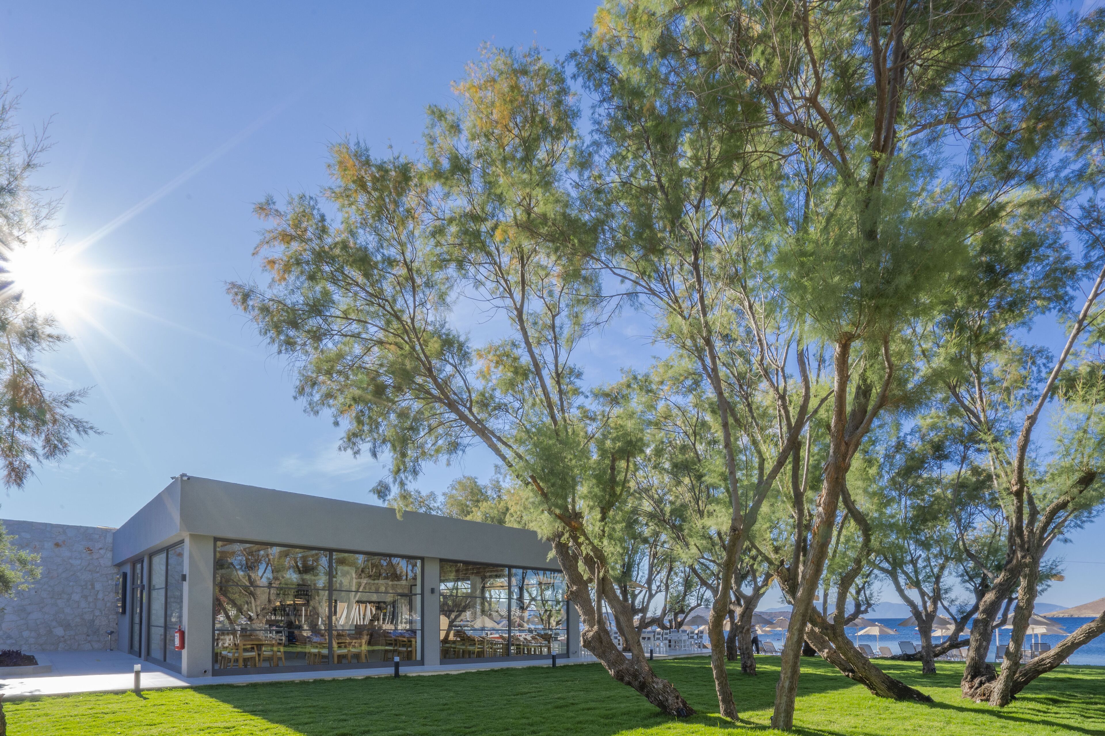 Serveert ontbijt, lunch, diner, internationale gerechten 