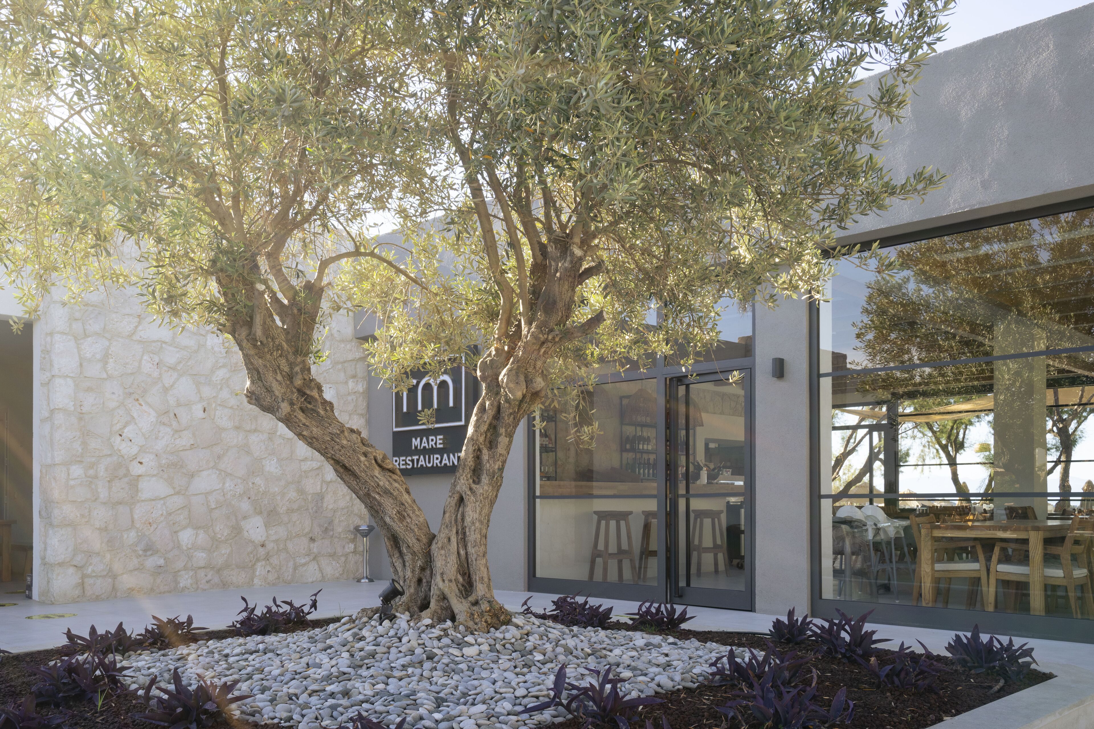 A tree-lined outdoor seating area with a stone wall and a glass facade restaurant.