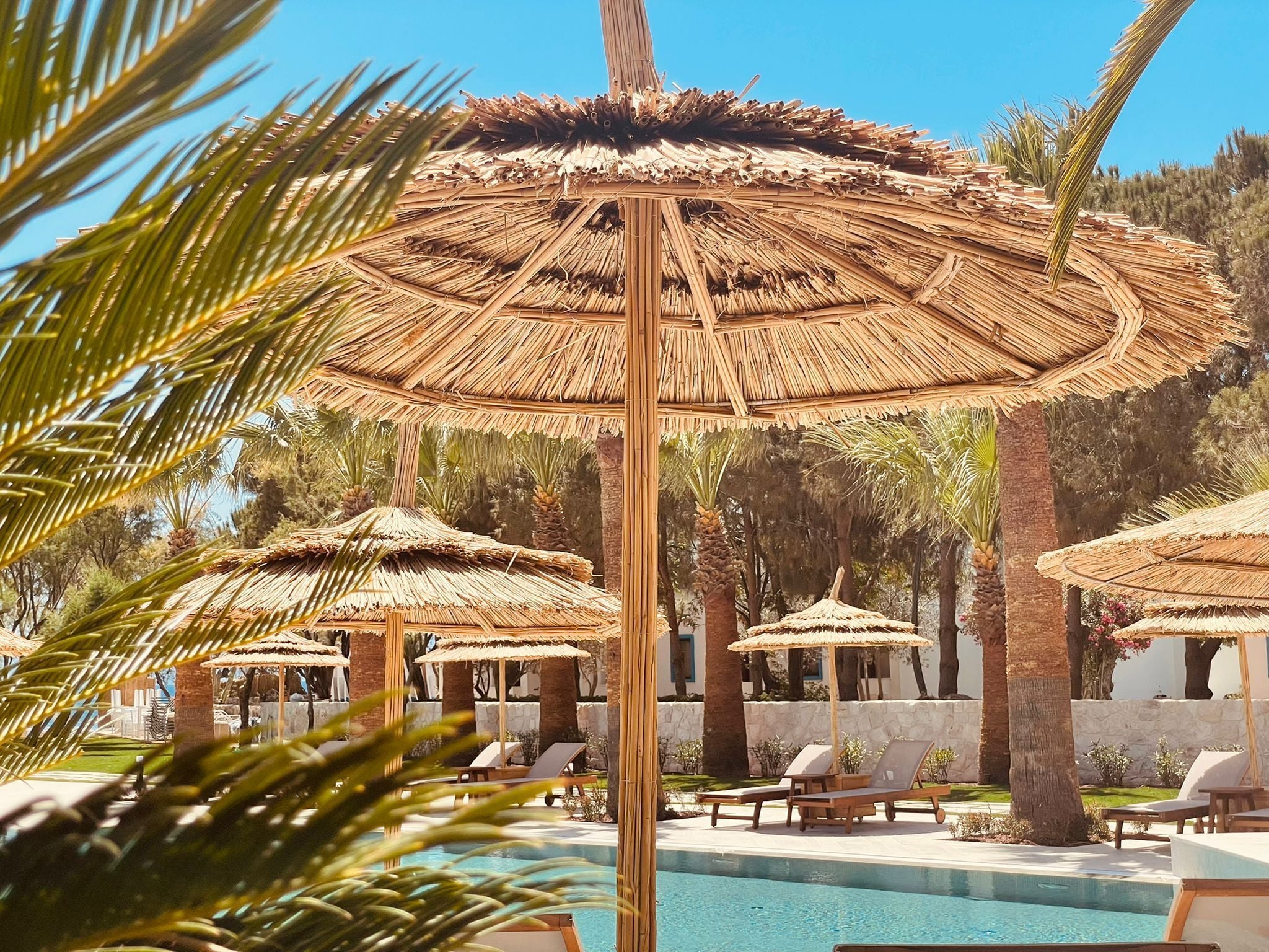 A pool area with thatched umbrellas and lounge chairs.