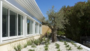 Un edificio moderno con ventanas grandes, un árbol en primer plano y un camino de grava.