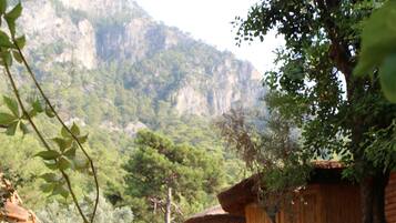 Pintu masuk hartanah