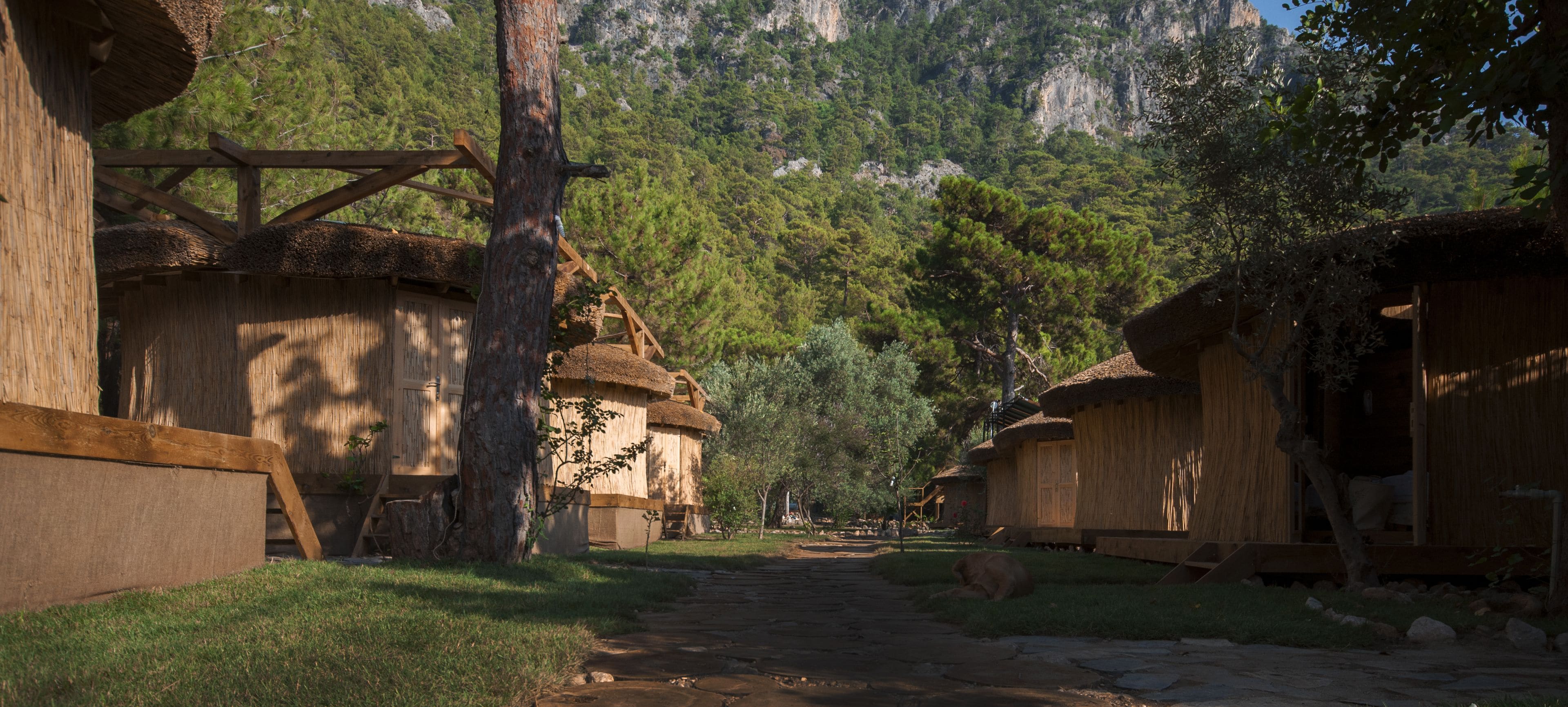 A rustic village with traditional thatched-roof houses, a stone pathway, and a mountainous backdrop.
