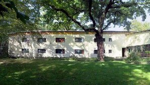 Un edificio moderno con un gran árbol en primer plano, múltiples ventanas y una estructura curva a la derecha.