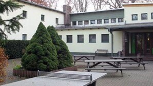 Un espacio al aire libre con mesas de picnic, un gran conífero y un edificio con varias ventanas.