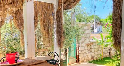 Temucin Hotel