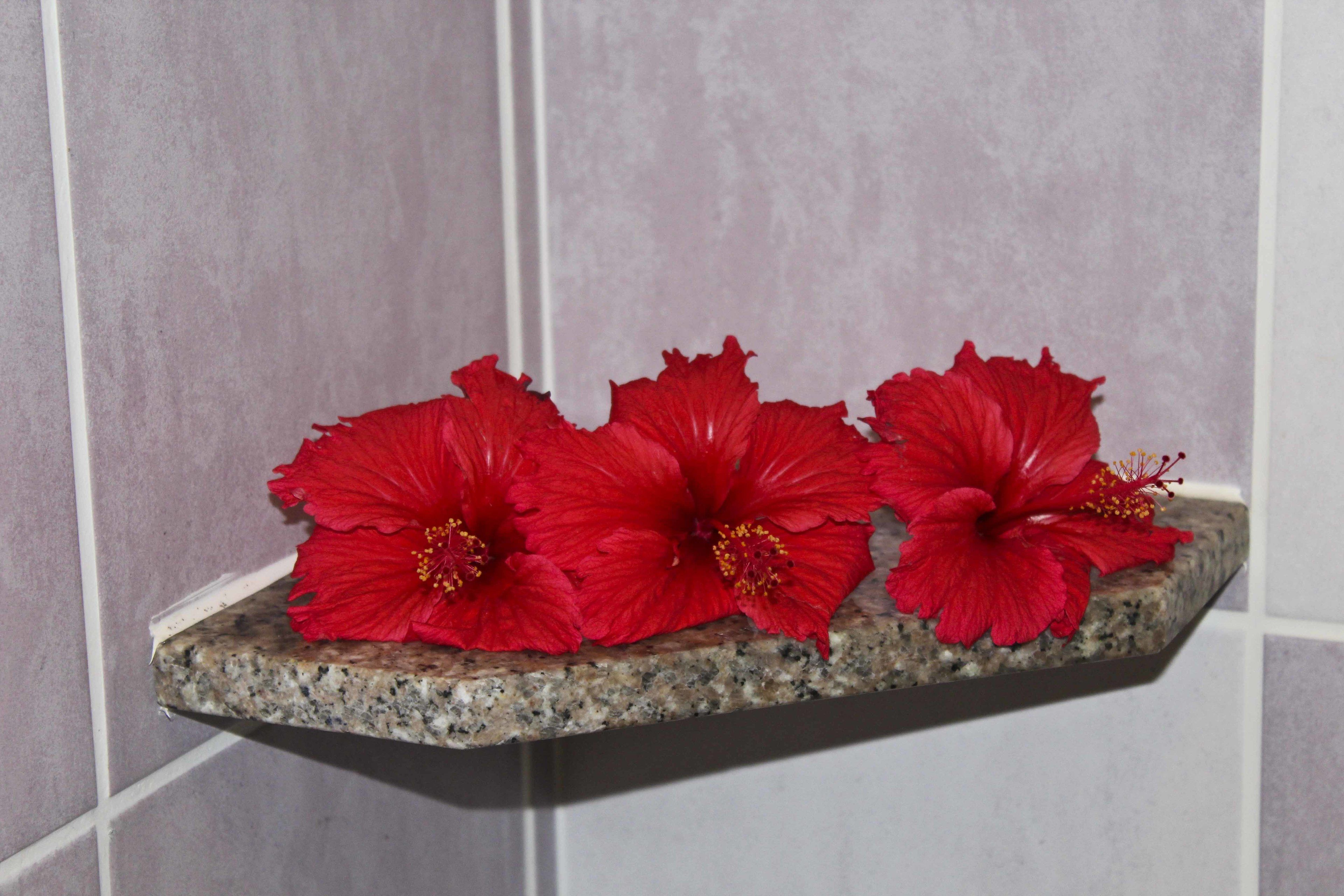 A granite shelf with three red flowers against a tiled wall.