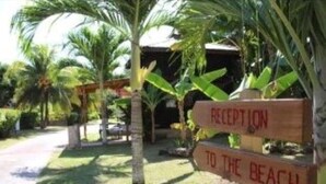 Een houten bord met de tekst 'RECEPTION TO THE BEACH', omringd door palmbomen en een gebouw op de achtergrond.