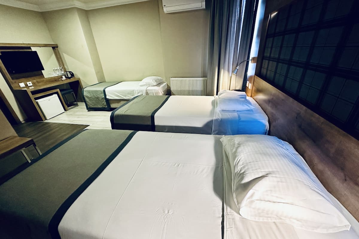 triple room | minibar, desk, iron/ironing board, free wifi