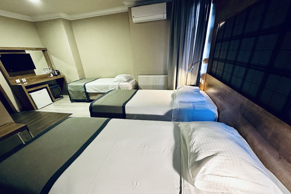Triple Room | Minibar, desk, iron/ironing board, free WiFi