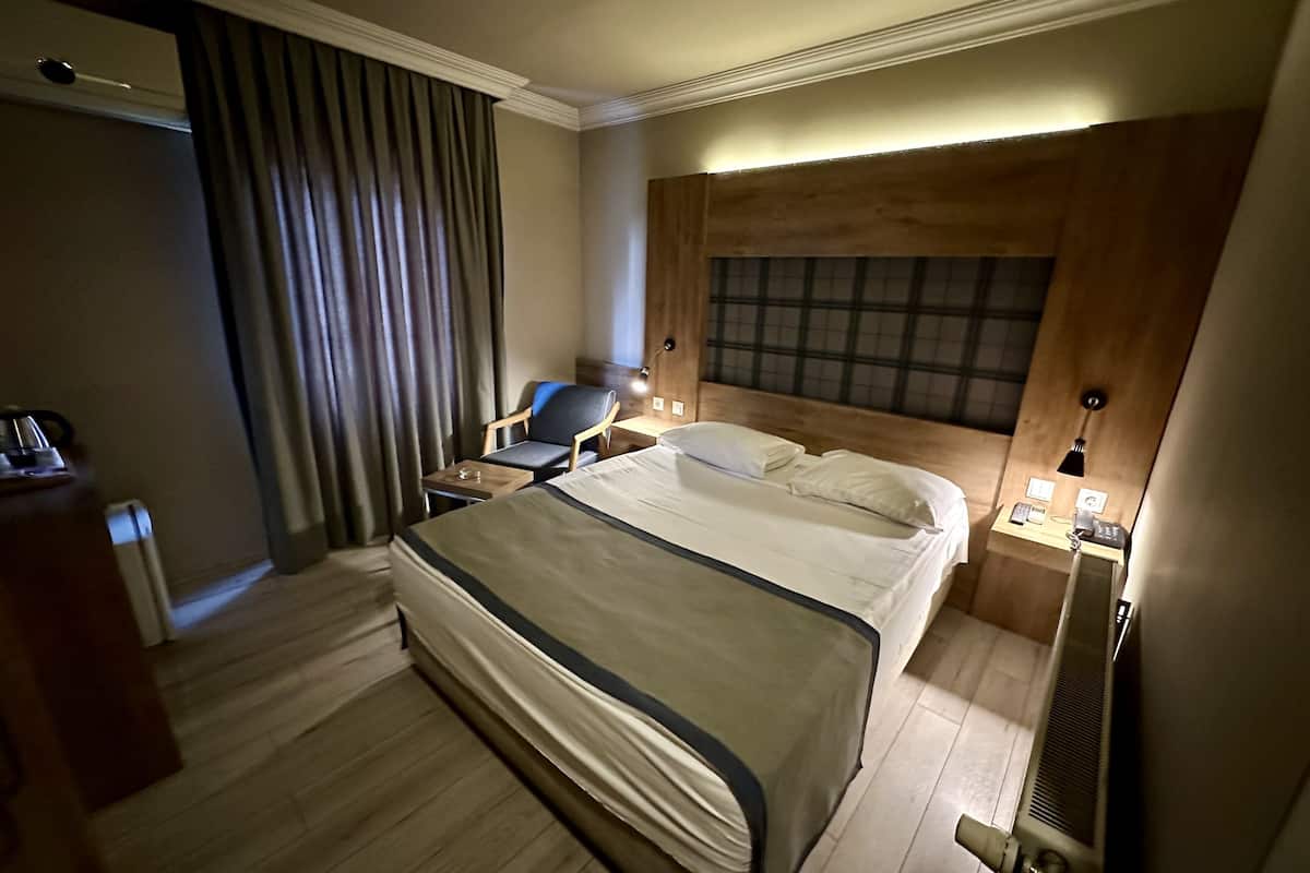 standard double or twin room | minibar, desk, iron/ironing board, free wifi