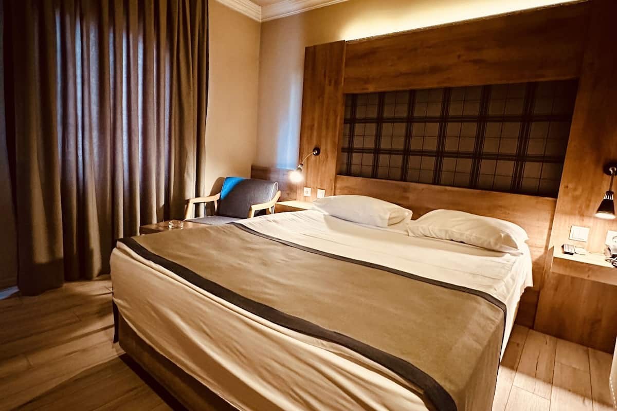 standard double or twin room | minibar, desk, iron/ironing board, free wifi