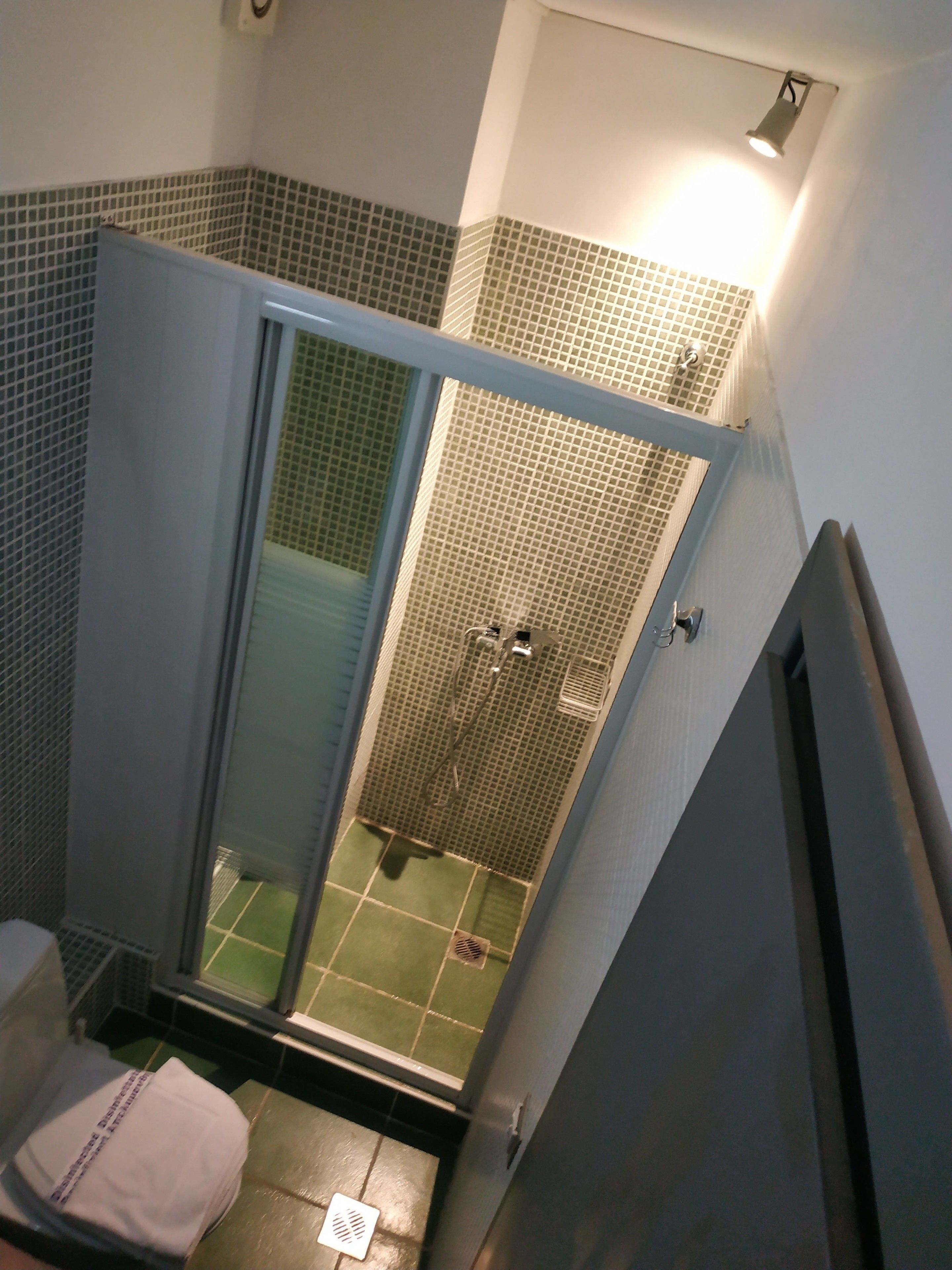 shower, free toiletries, hair dryer