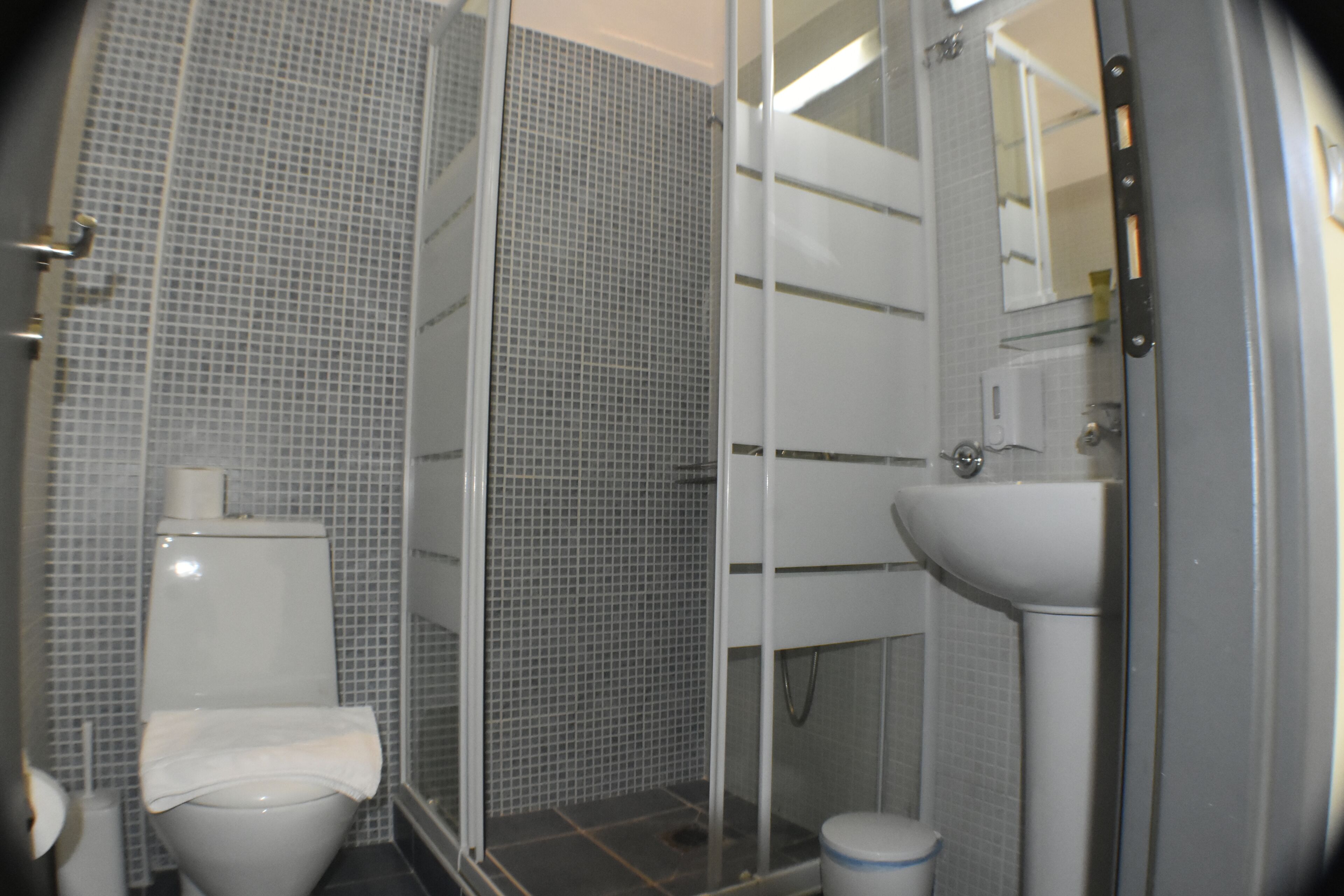 A bathroom with a toilet, a sink, and a shower area.