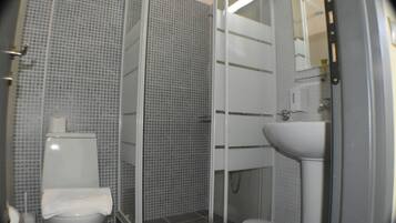 A bathroom with a toilet, a sink, and a shower area.