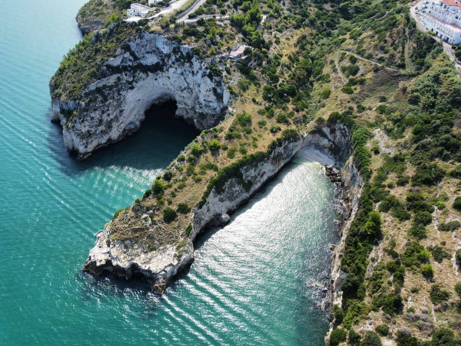 Foto - Hotel Peschici