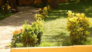 A pathway leading to a yellow building with a wheelbarrow and a small window.