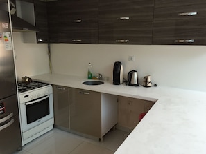 Standard-Apartment | Eigene Küche | Kühlschrank, Herdplatte, Wasserkocher, Kochgeschirr/Geschirr/Besteck