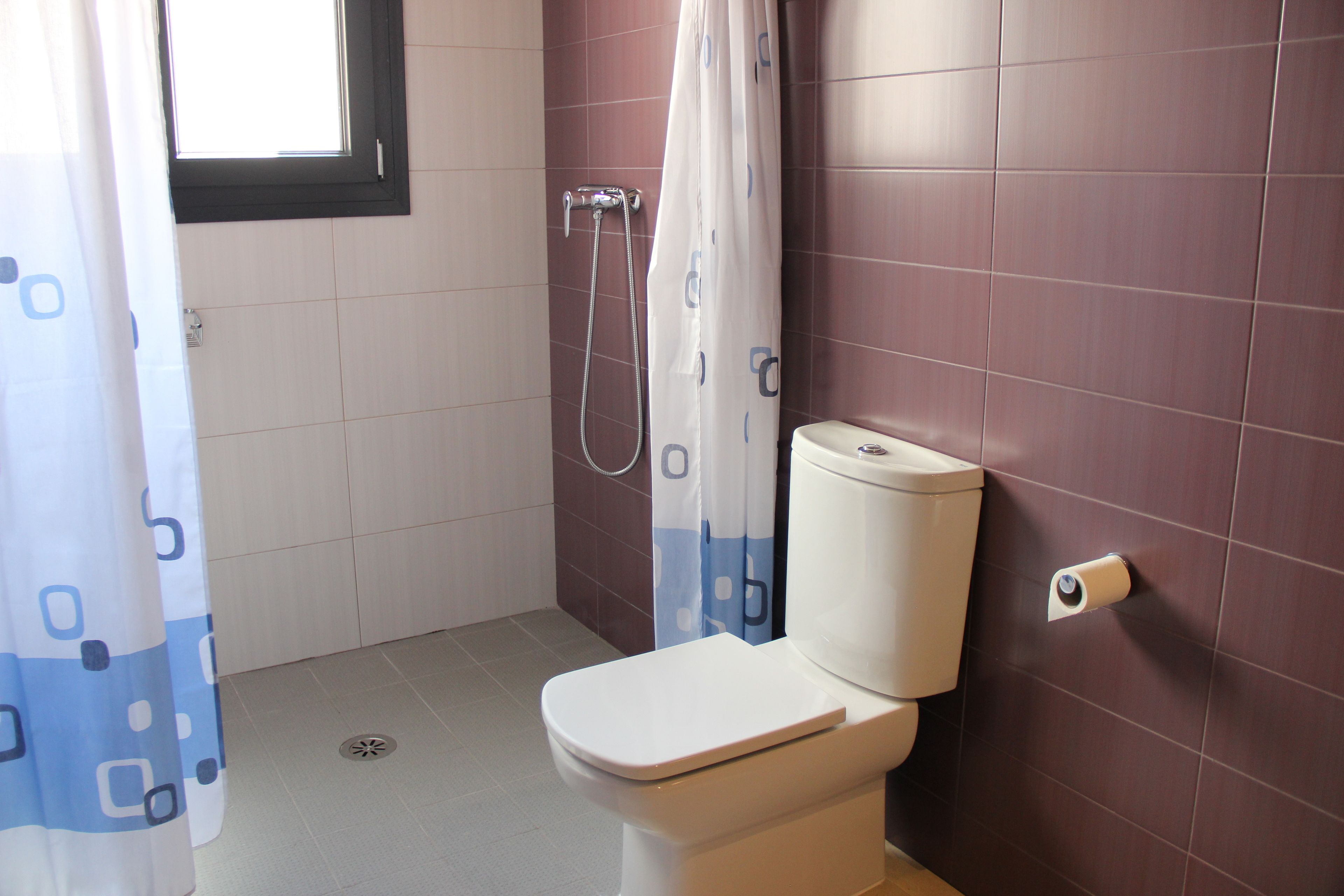 hand-held showerhead