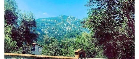 Outdoor pool, pool umbrellas, pool loungers