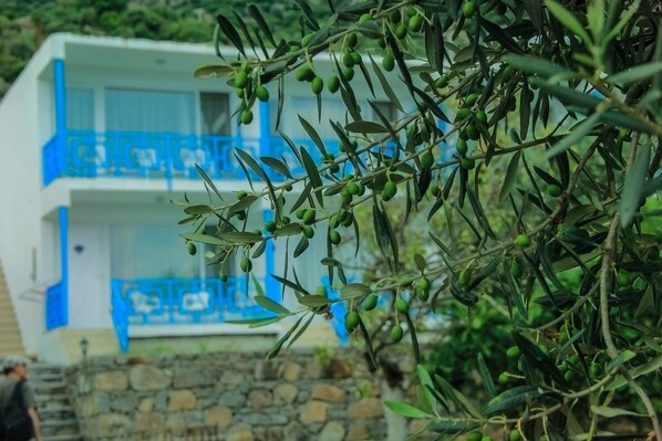 Un edificio con base de piedra y barandal azul.