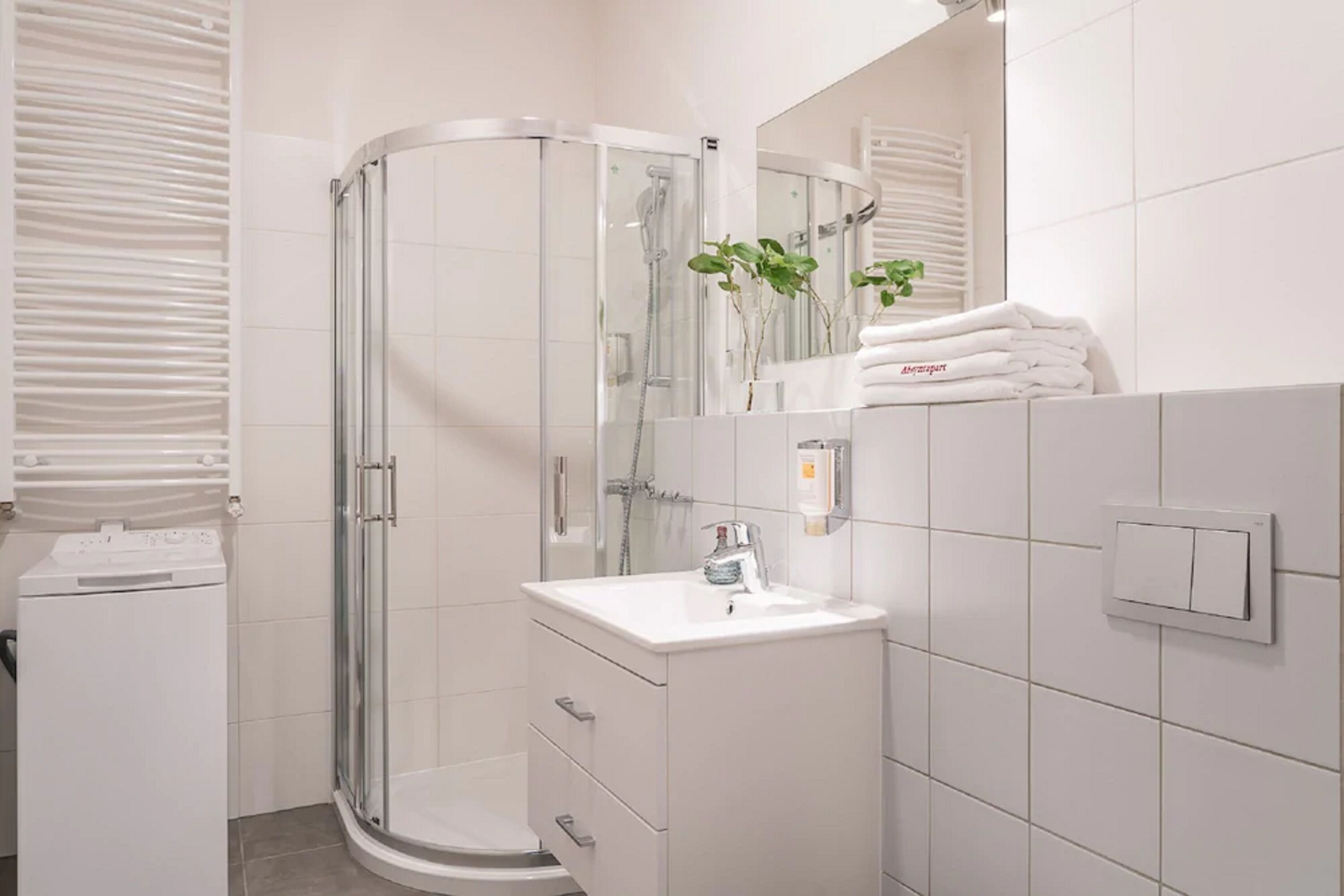 Een moderne badkamer met een douche met glazen wand, een witte wastafel en een spiegel erboven.