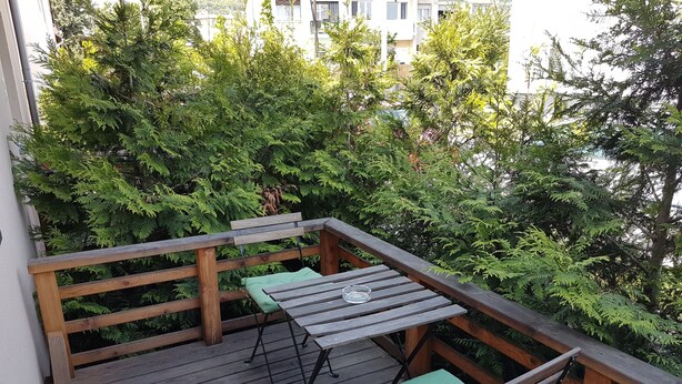 Habitación doble, terraza | Terraza o patio
