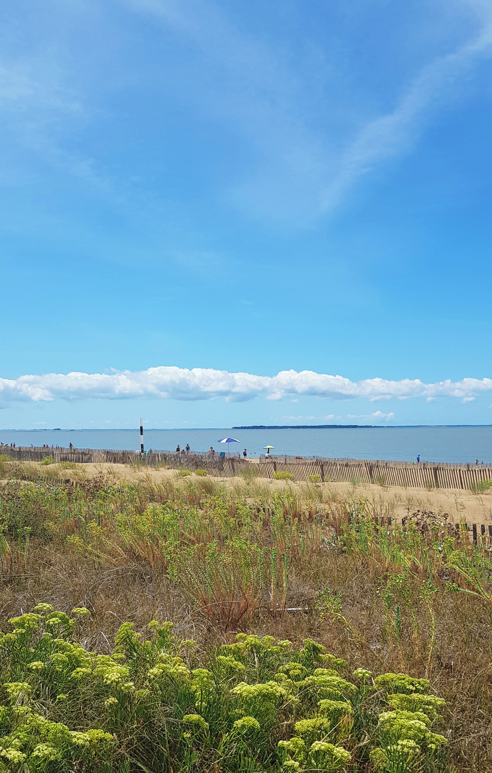 Foto - LOGIS Hotel Majestic Chatelaillon Plage - La Rochelle