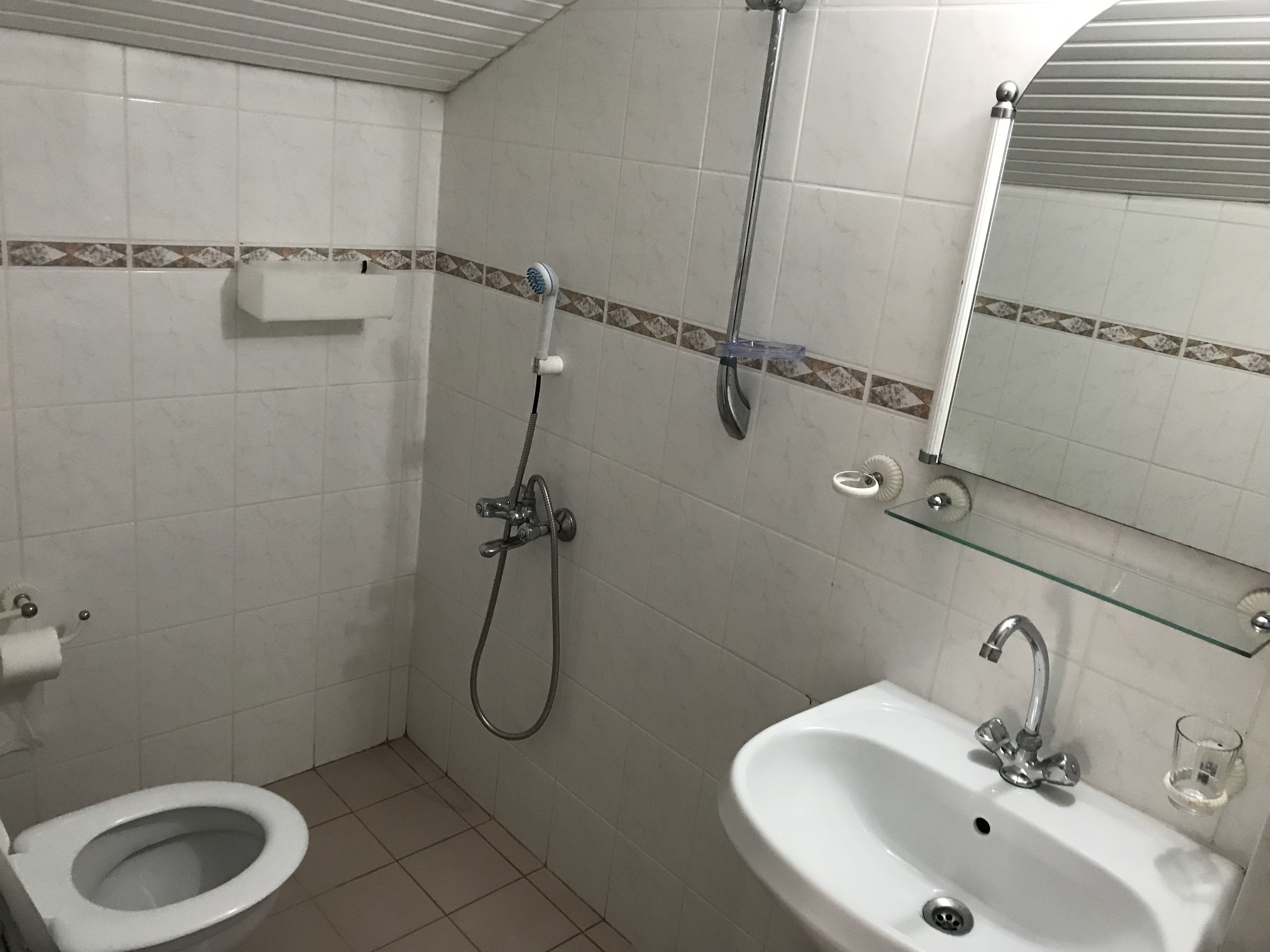 Un baño con inodoro, lavabo, ducha y espejo.