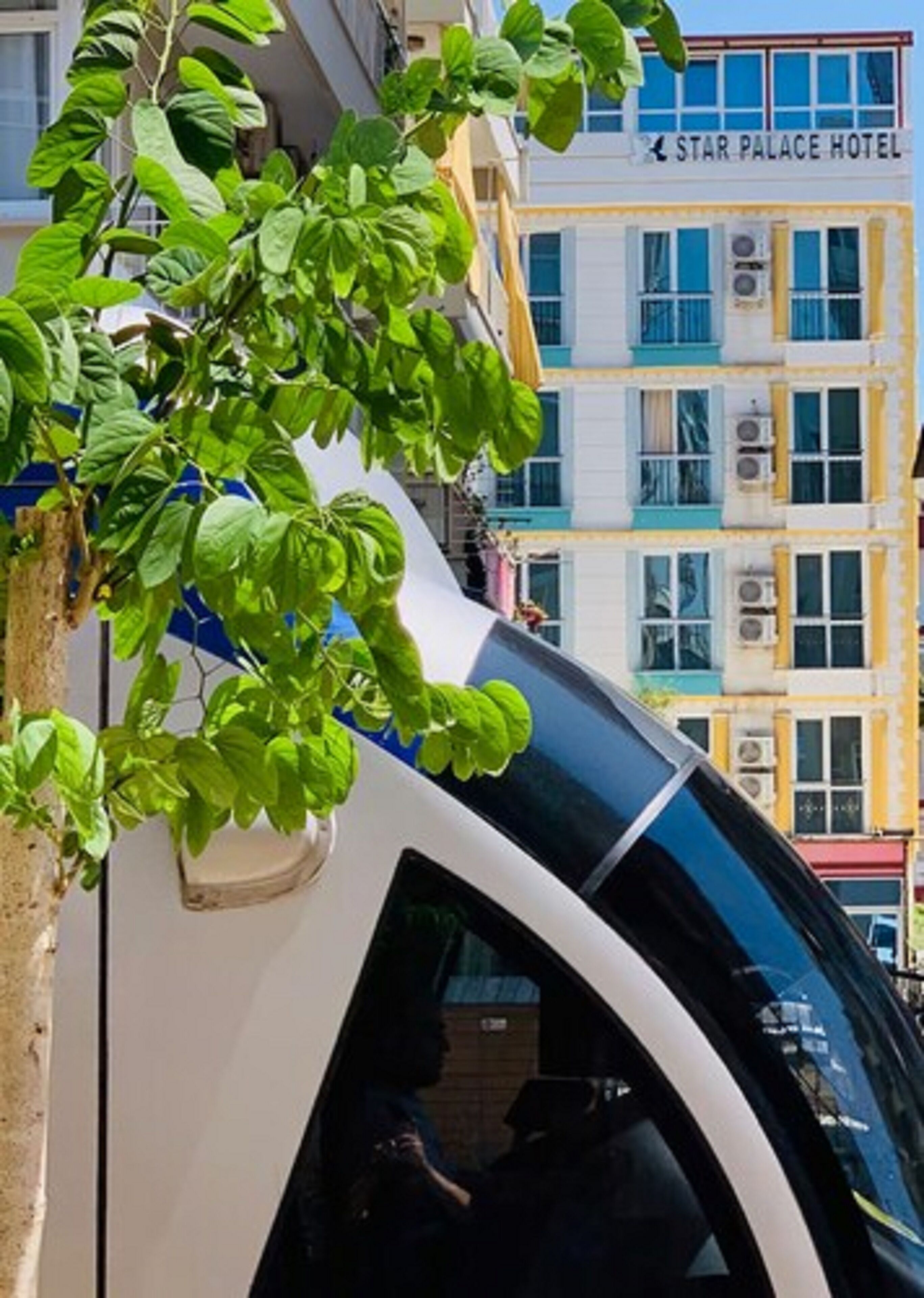 Photo - Linda Star Palace Otel