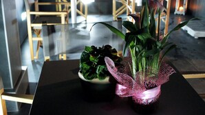 Teres/patio
