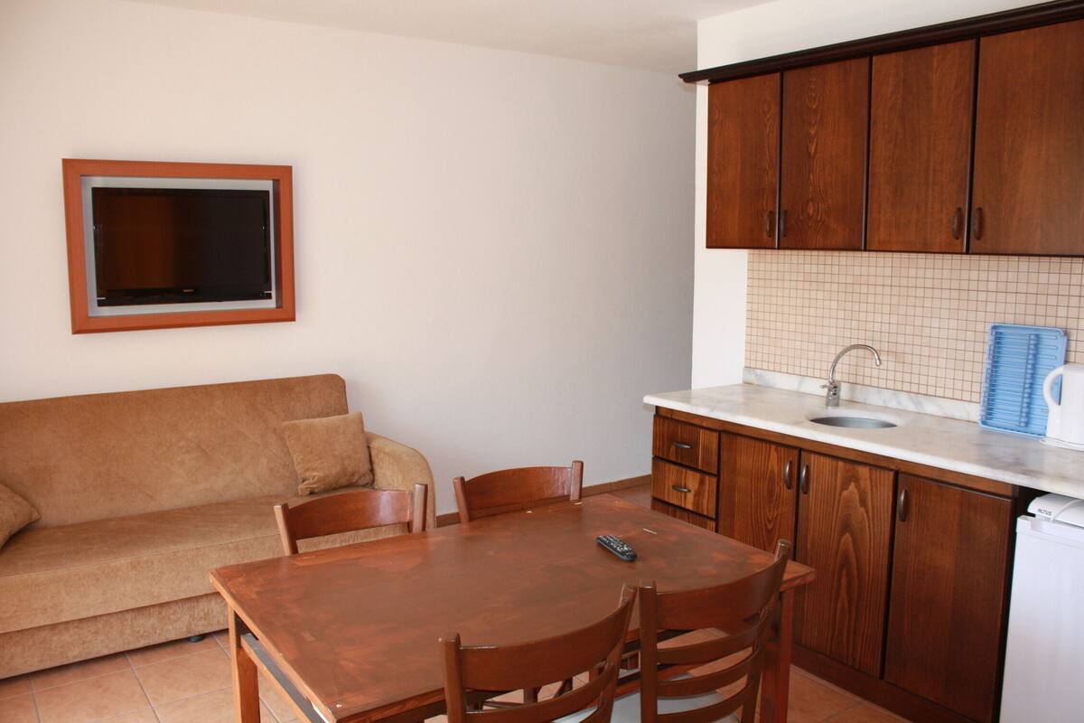 A compact living space with a wooden dining table, chairs, a sofa, a kitchen area with wooden cabinets, a tiled backsplash, and a built-in TV.
