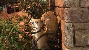 A stone wall with a metal dog sculpture. - Lacin Apart Otel (Datça)