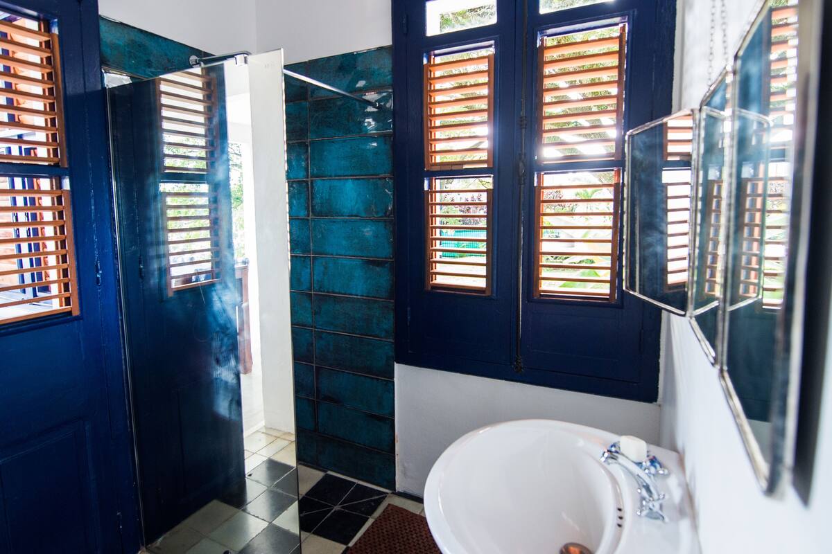 shower, free toiletries, hair dryer, towels