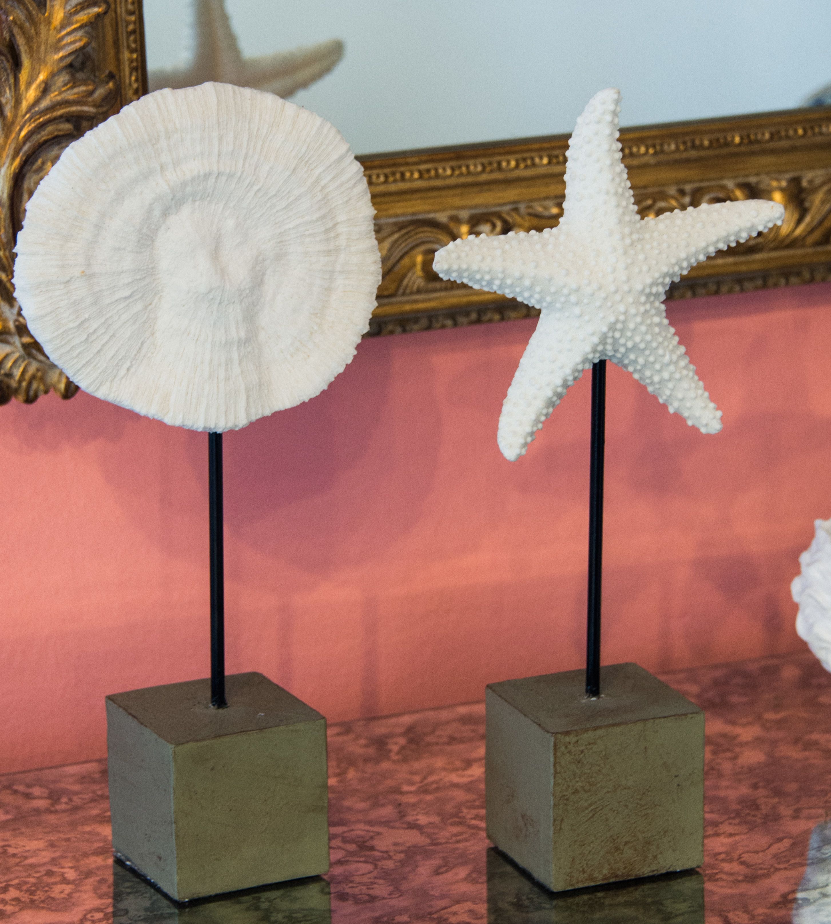 Dos estrellas de mar blancas sobre pedestales negros frente a una pared rosa con un espejo en marco dorado al fondo.